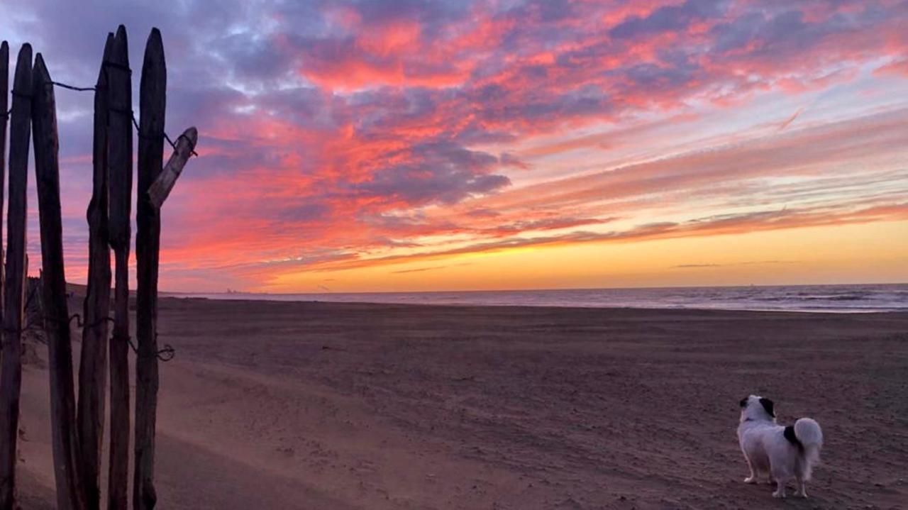 Beach House For You - Luxe Verblijf, 5 Min Van Het Strand Katwijk aan Zee Exterior photo